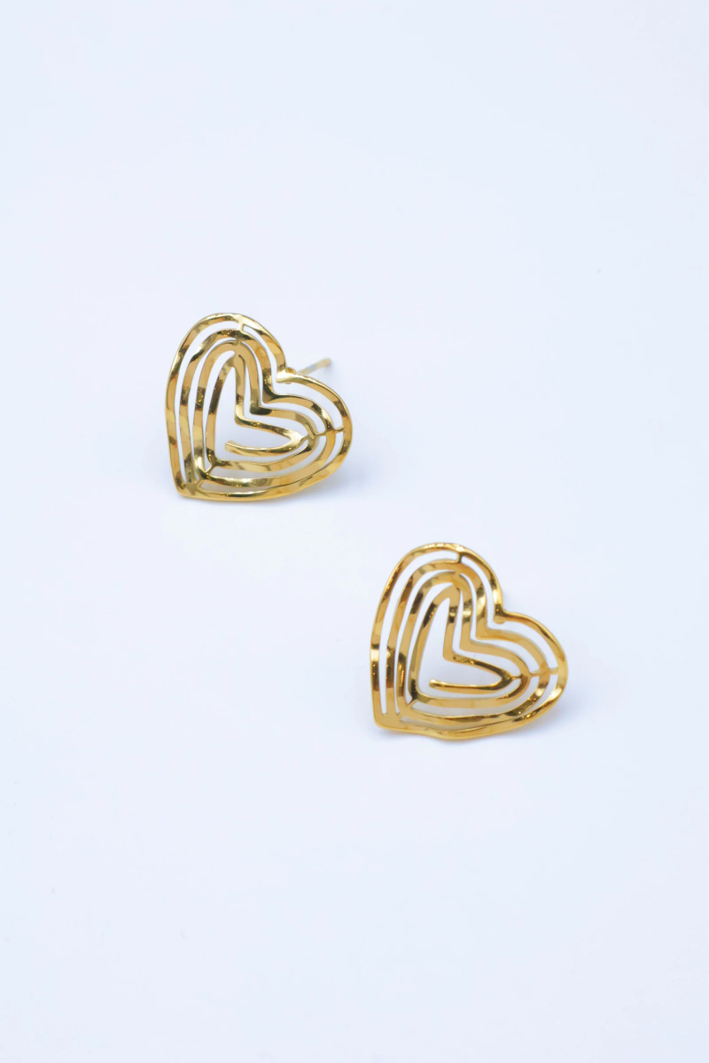 Stainless steel earrings 2