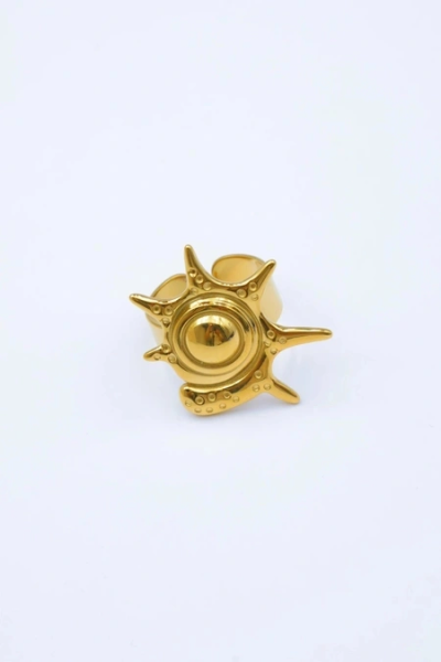 Adjustable stainless steel ring 2