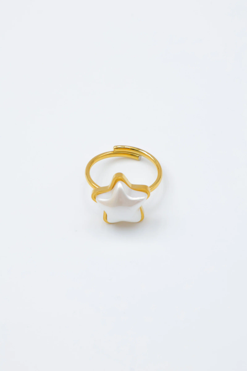 Bague en acier inoxydable ajustable 3