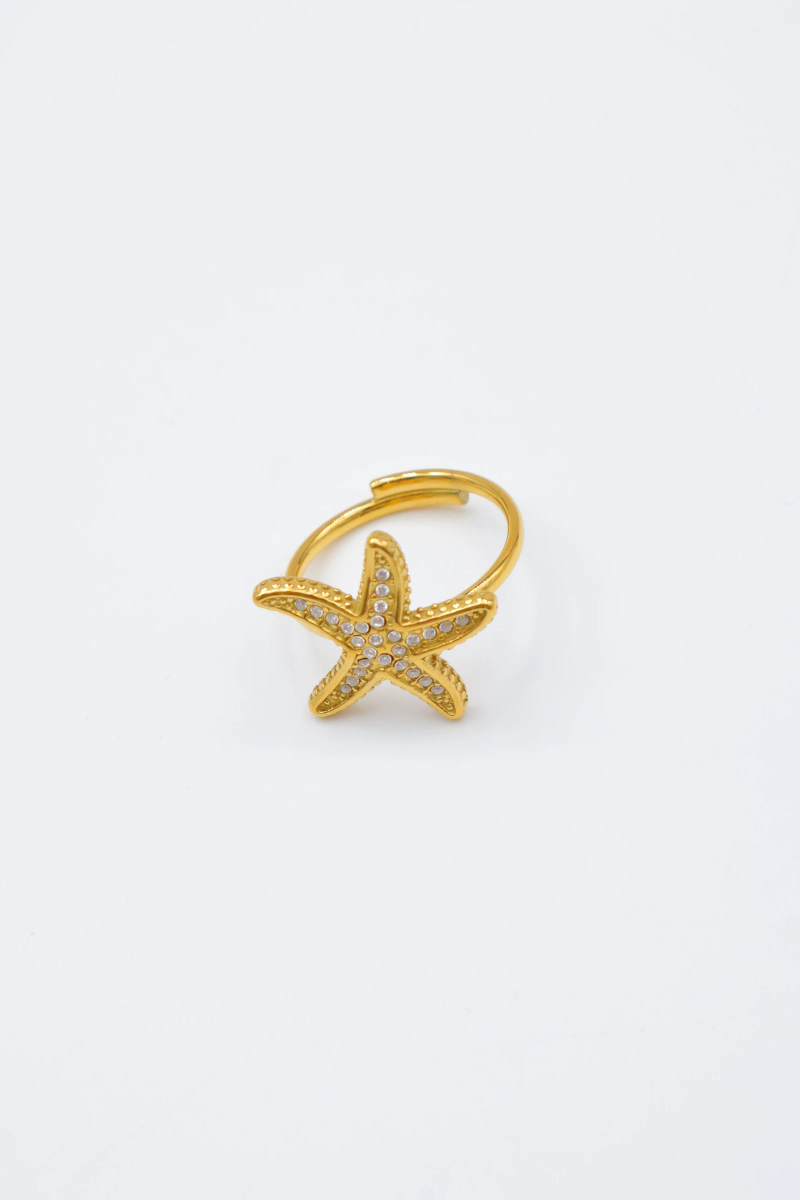 Bague en acier inoxydable ajustable 3