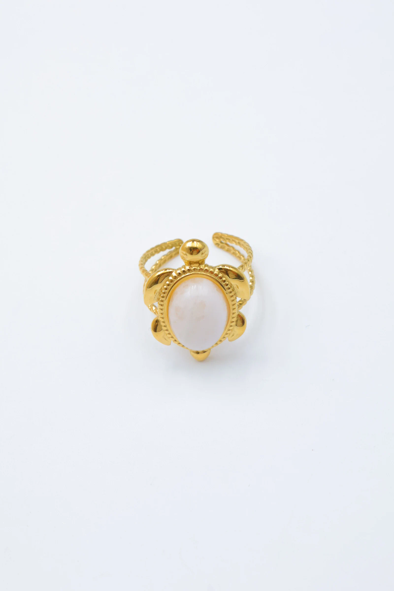Bague en acier inoxydable ajustable 2