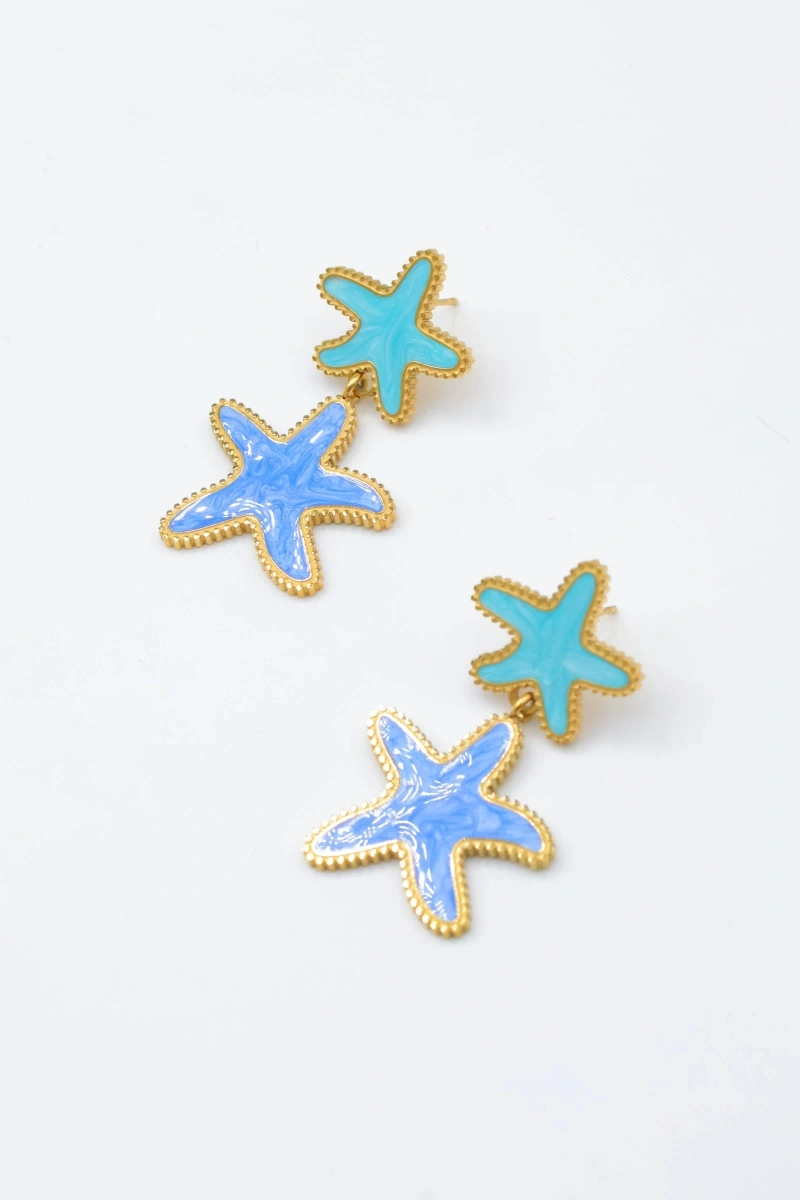 Stainless steel earrings 2