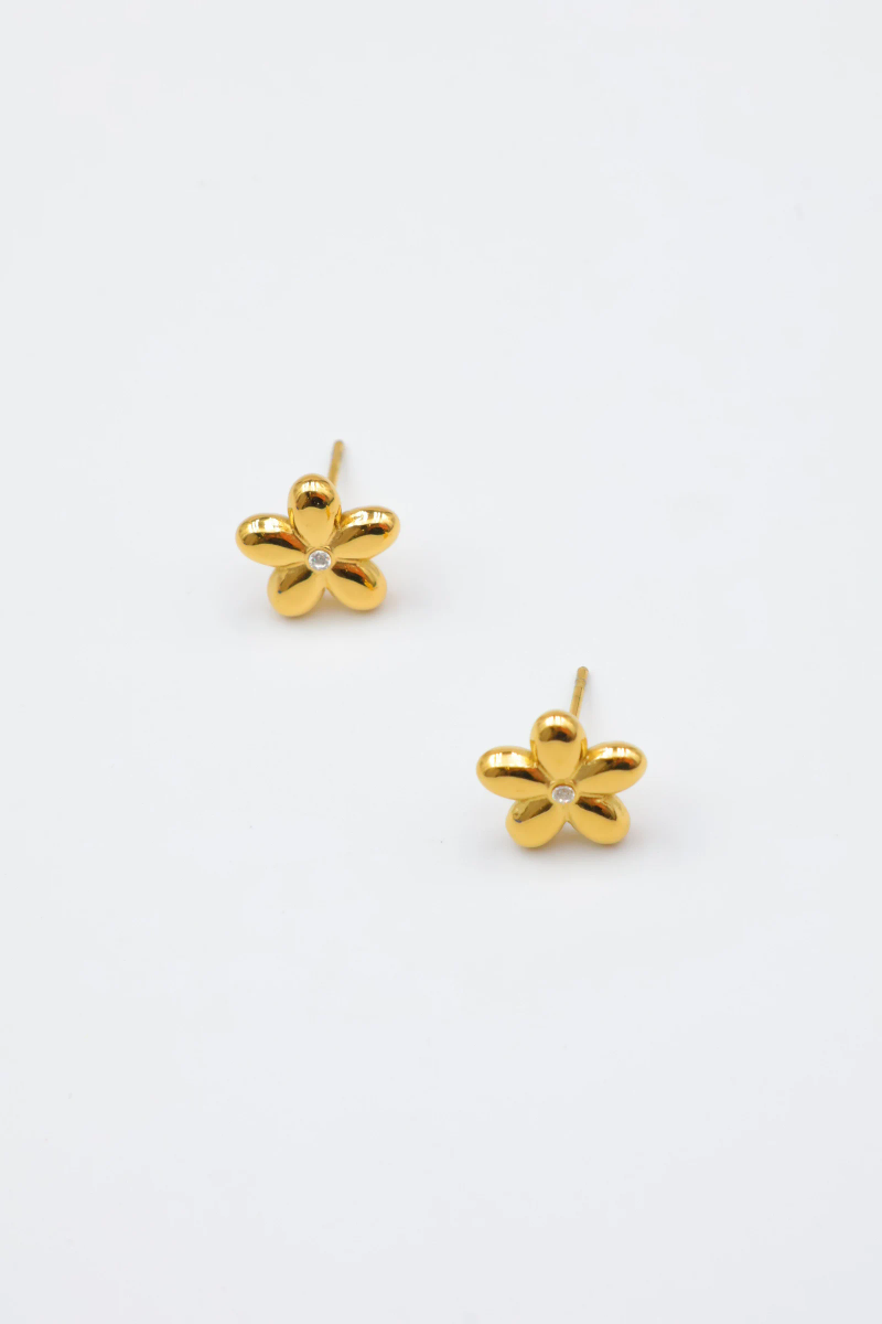 Stainless steel earrings 2