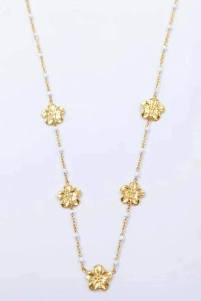 Collier en acier inoxydable 2