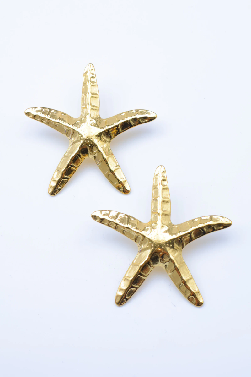 Stainless steel earrings 2