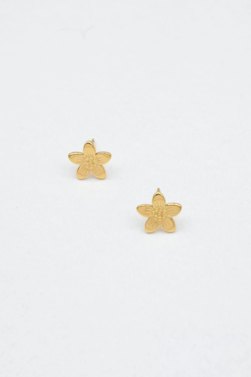 Boucles d'oreilles en acier inoxydable 2