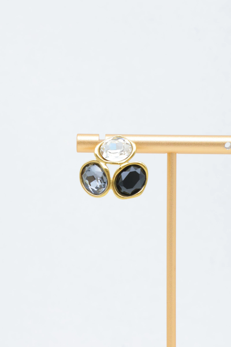 Stainless steel earrings 2