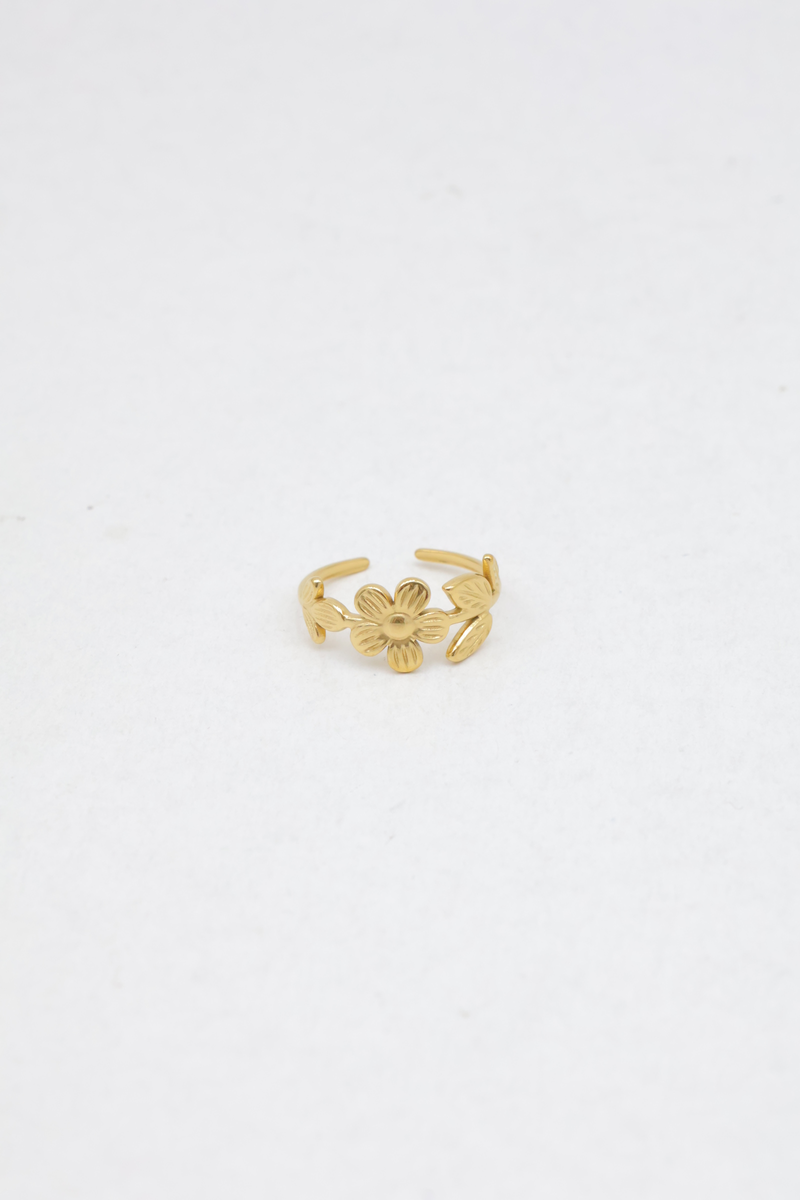 Stainless steel ring 2