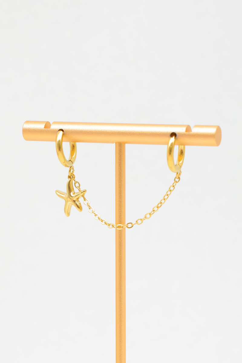 Stainless steel earrings 2