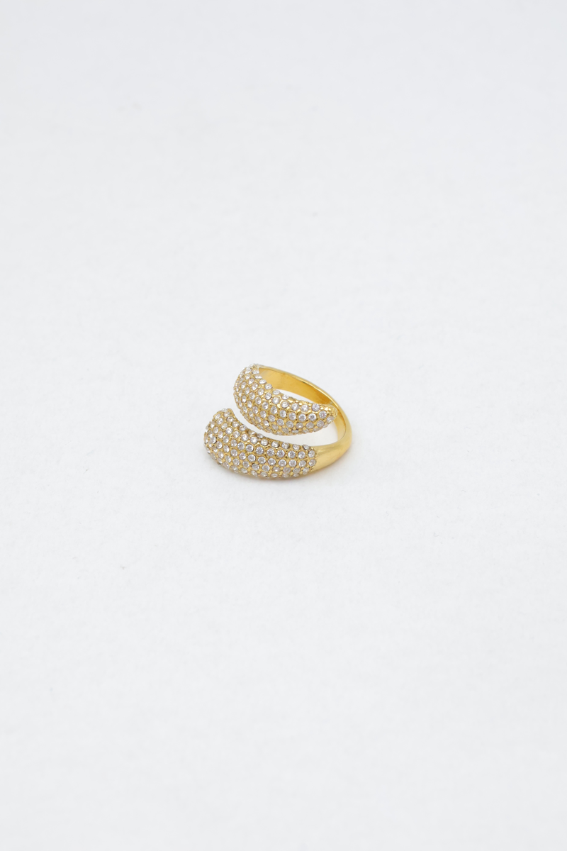 Stainless steel ring 2