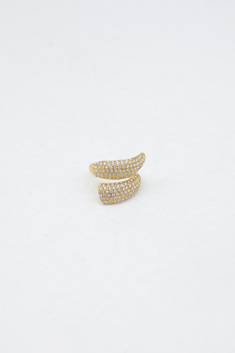 Stainless steel ring 3