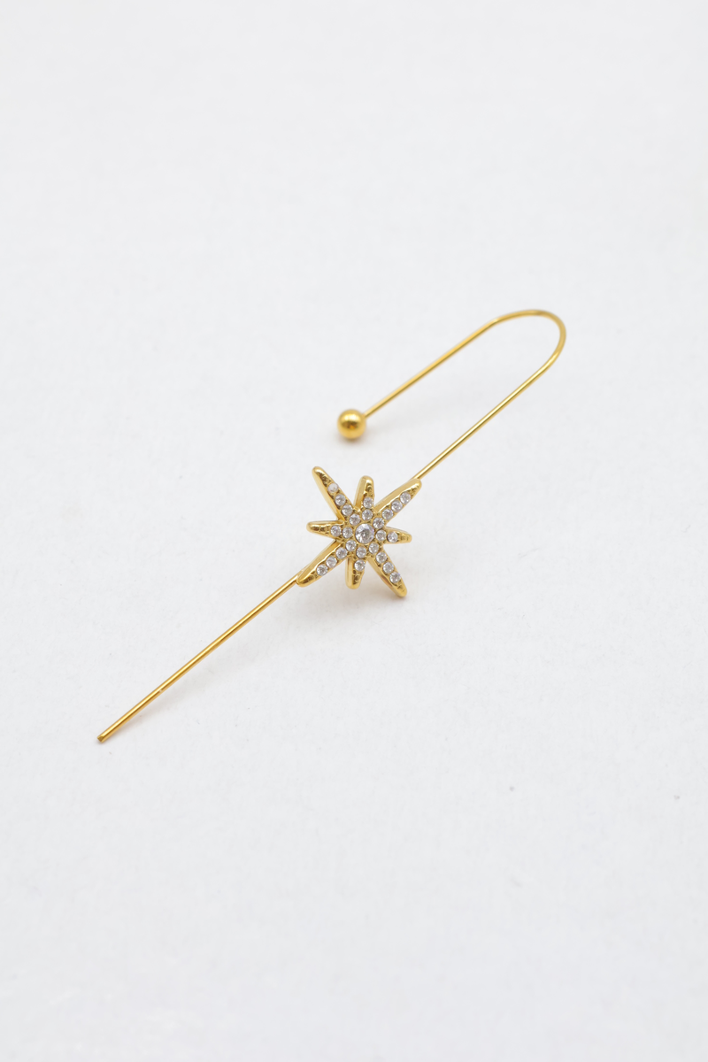 Stainless steel earrings 2