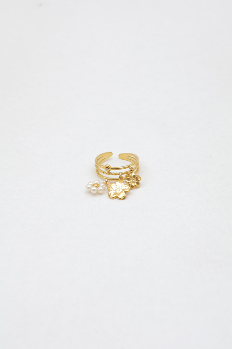 Stainless steel ring 2