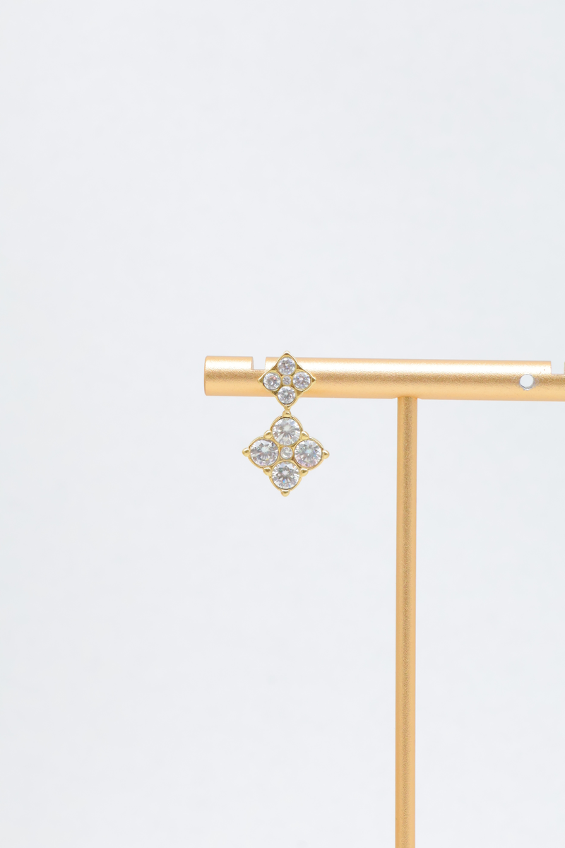 Stainless steel earrings 2