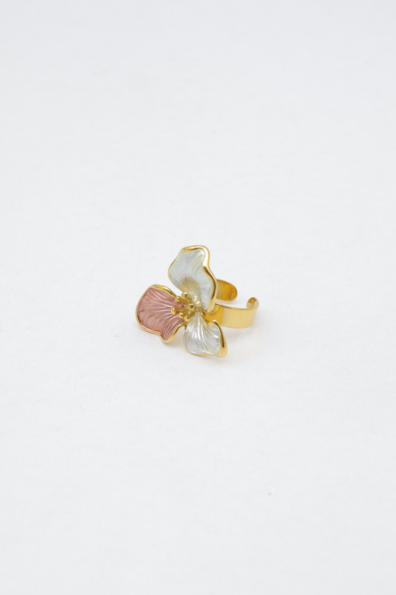 Stainless steel ring 3