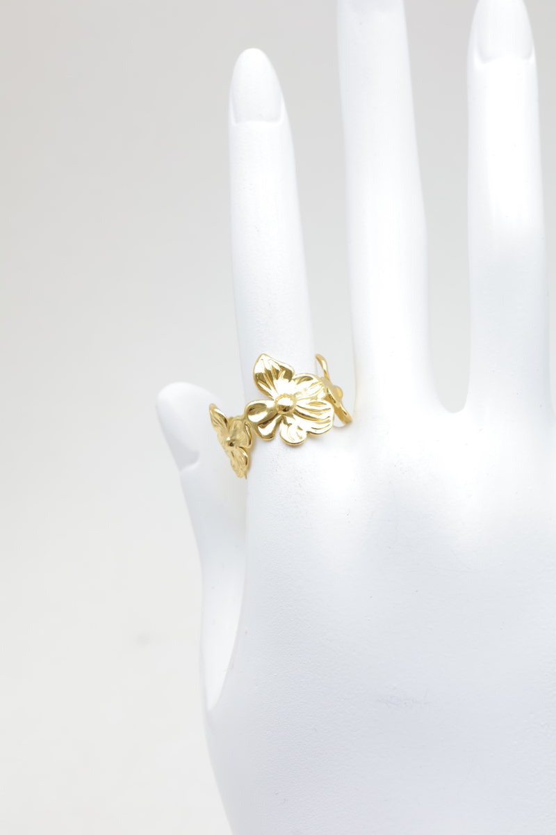 Stainless steel ring 2