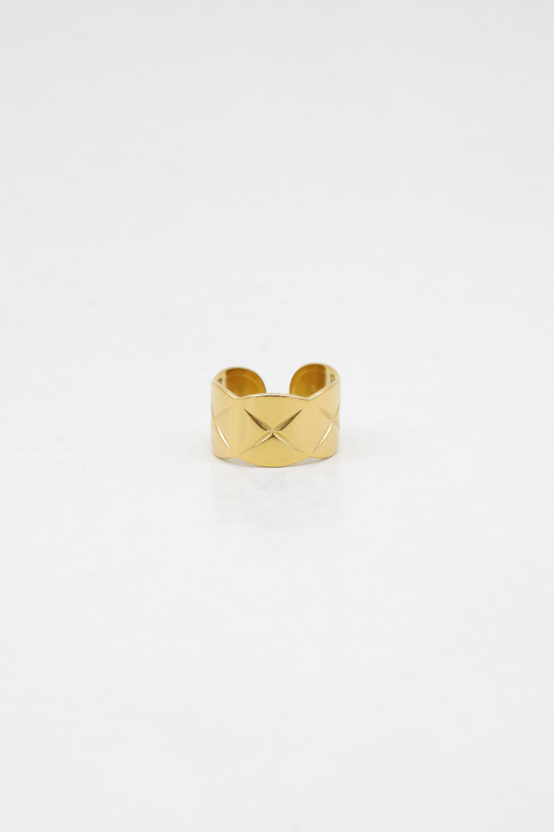 Stainless steel ring 2