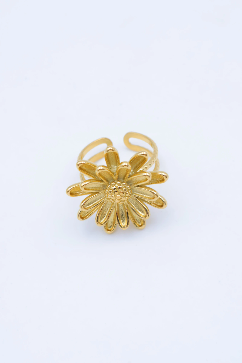 Bague en acier inoxydable ajustable 2