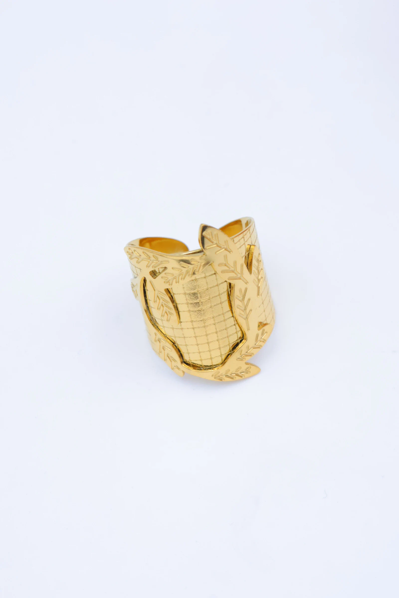 Bague en acier inoxydable ajustable 2