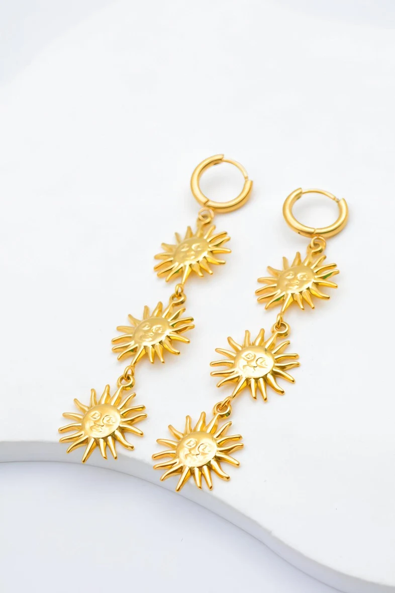 Stainless steel earrings 2