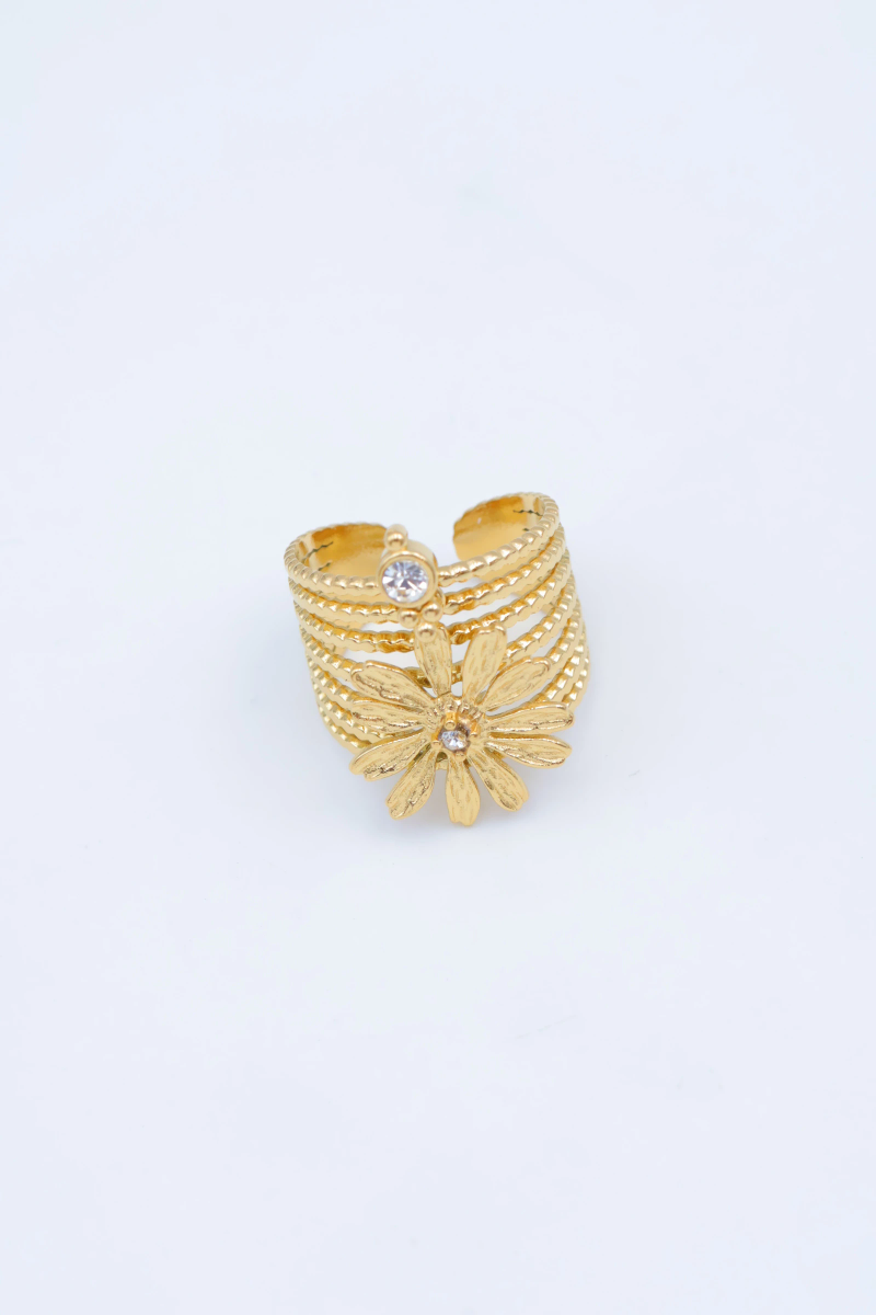 Bague en acier inoxydable ajustable 2