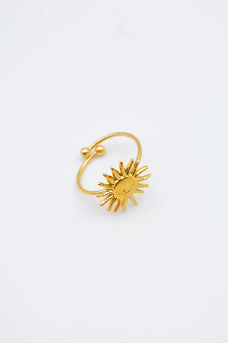 Bague en acier inoxydable ajustable 2