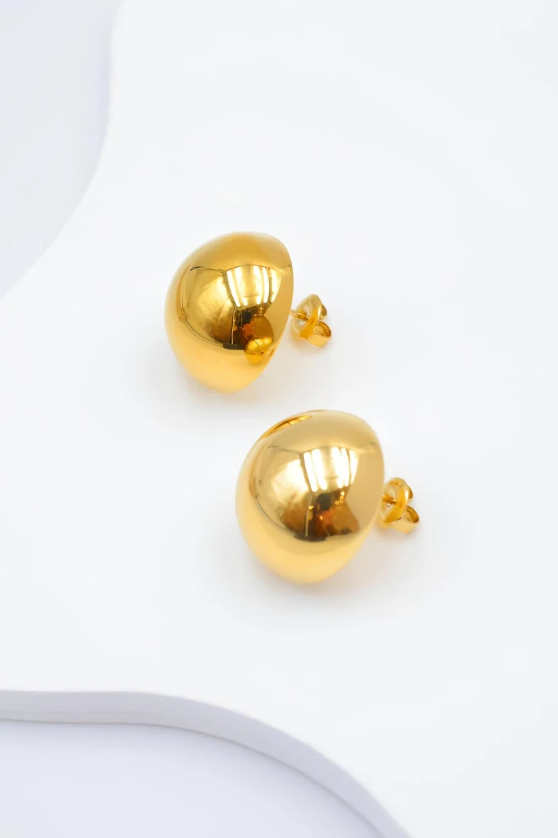 Stainless steel earrings 2