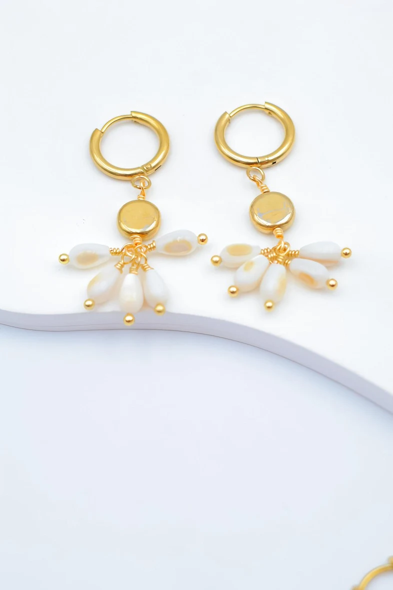 Stainless steel earrings 2