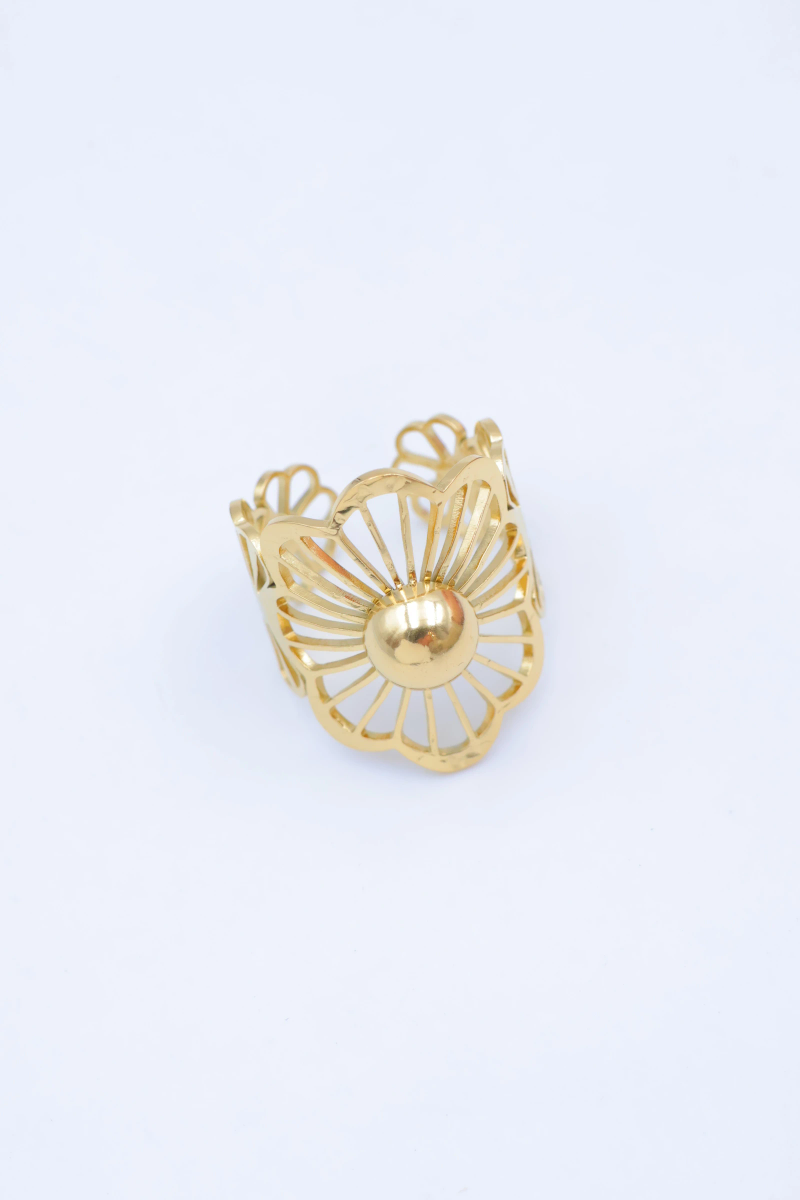 Bague en acier inoxydable ajustable 2