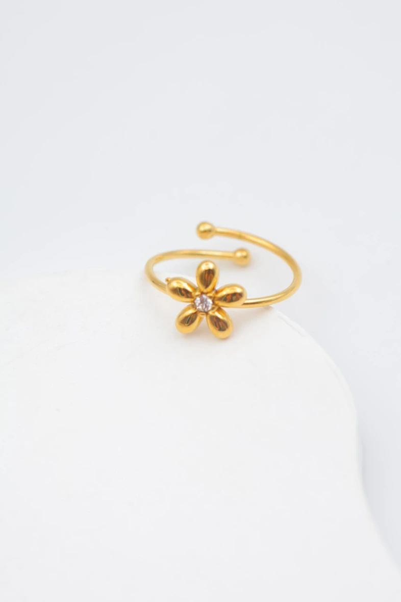 Bague en acier inoxydable ajustable 2