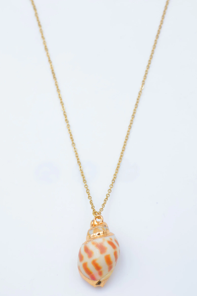Collier en acier inoxydable 2