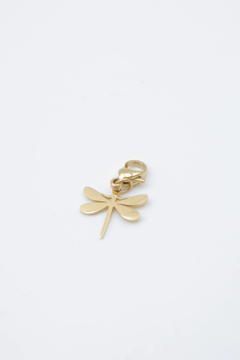 Stainless steel pendant 2