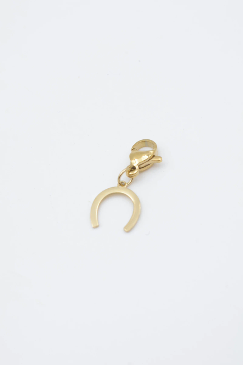 Stainless steel pendant 2