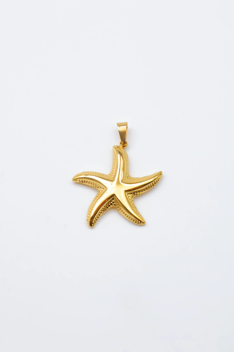 Pendentif en acier inoxydable 2
