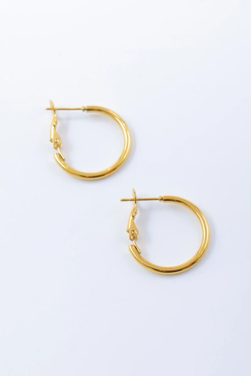 Boucles d'oreilles en acier inoxydable 2