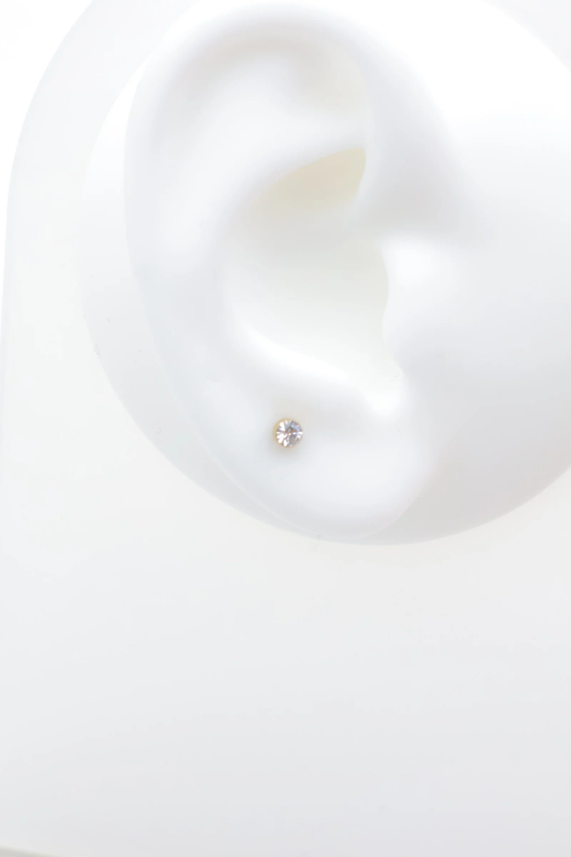 Stainless steel earrings 2
