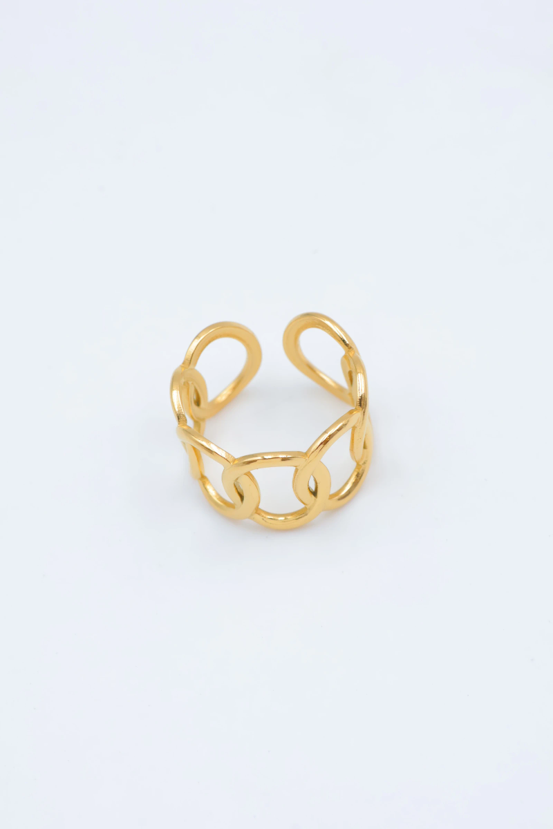 Bague en acier inoxydable ajustable 2