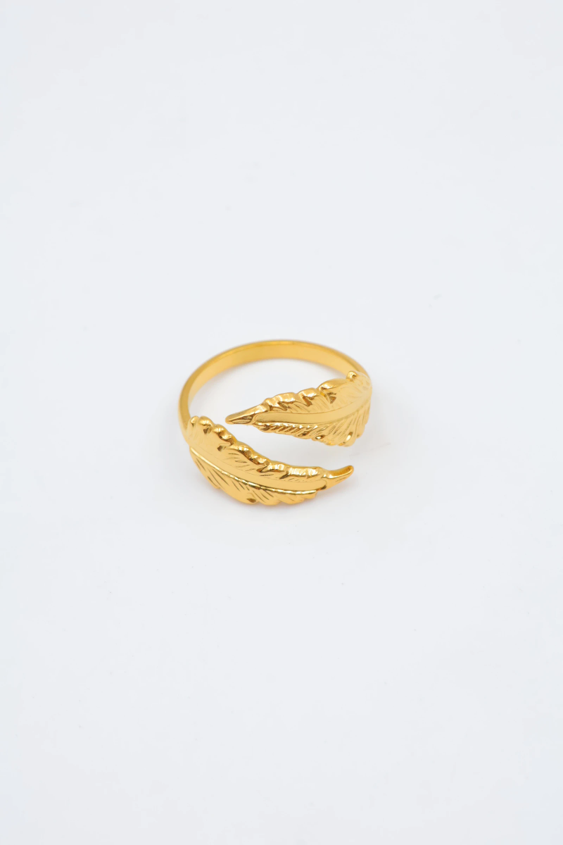 Bague en acier inoxydable ajustable 2
