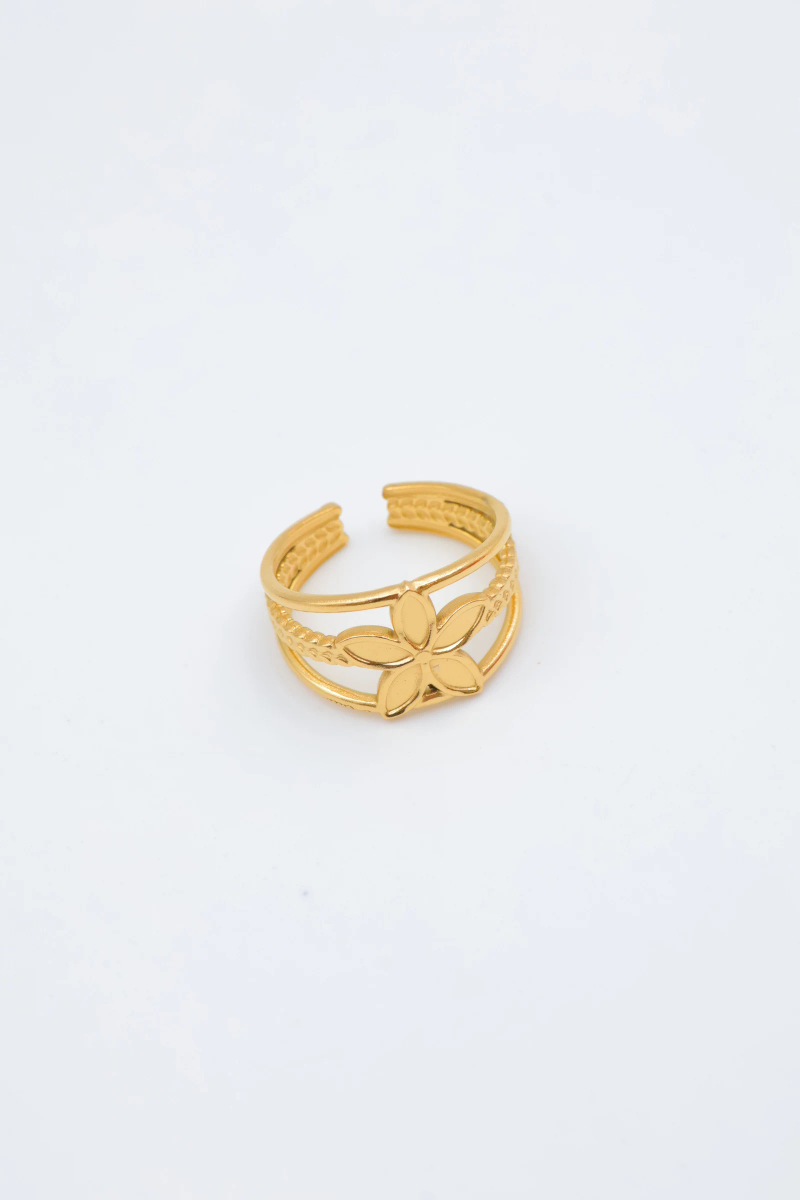 Adjustable stainless steel ring 4