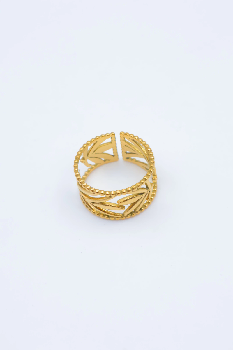 Bague en acier inoxydable ajustable 2