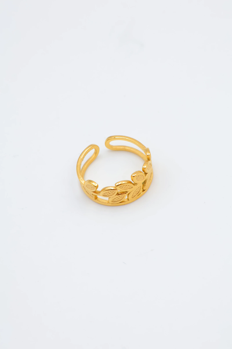 Bague en acier inoxydable ajustable 2