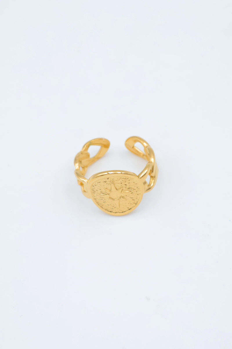 Bague en acier inoxydable ajustable 2