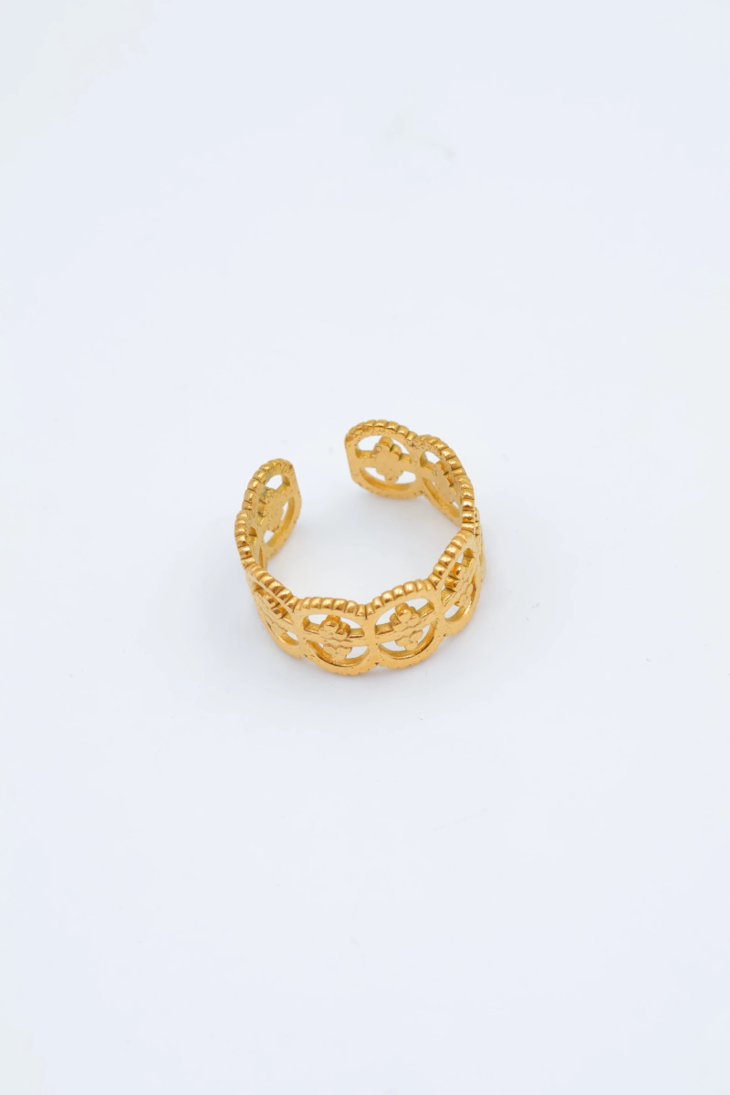 Bague en acier inoxydable ajustable 2