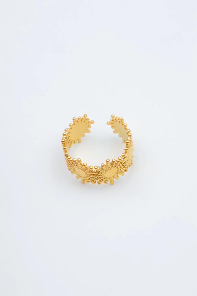Adjustable stainless steel ring 2