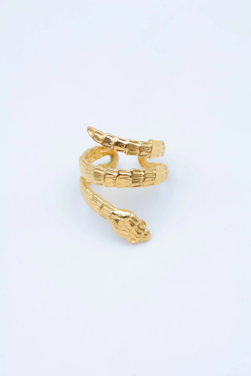 Bague en acier inoxydable ajustable 2