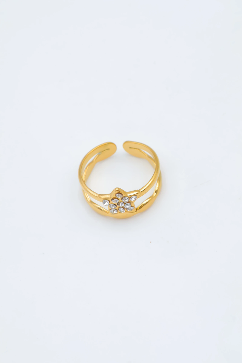 Bague en acier inoxydable ajustable 2
