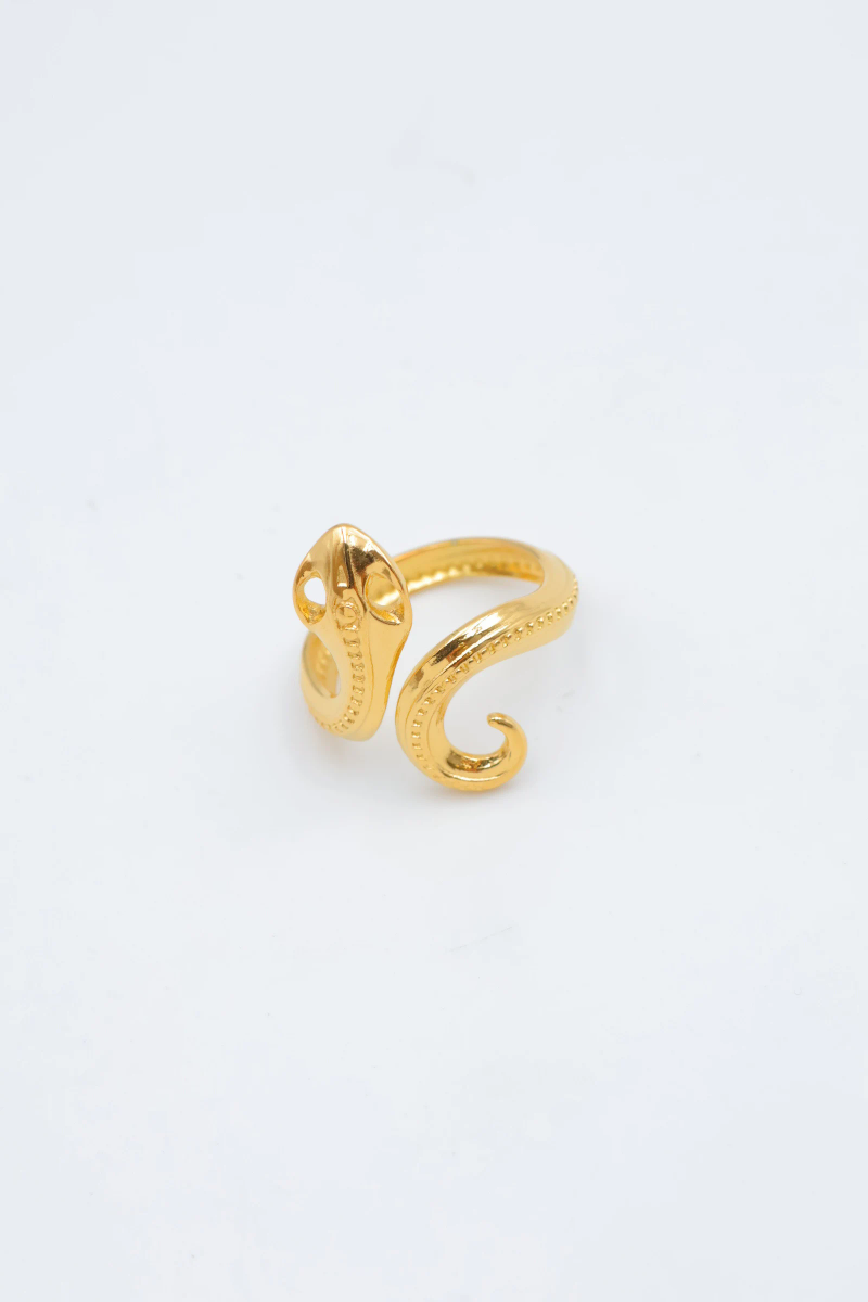 Adjustable stainless steel ring 2