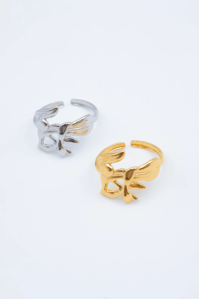 Bague en acier inoxydable ajustable 2