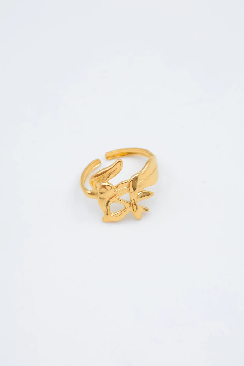Bague en acier inoxydable ajustable 4
