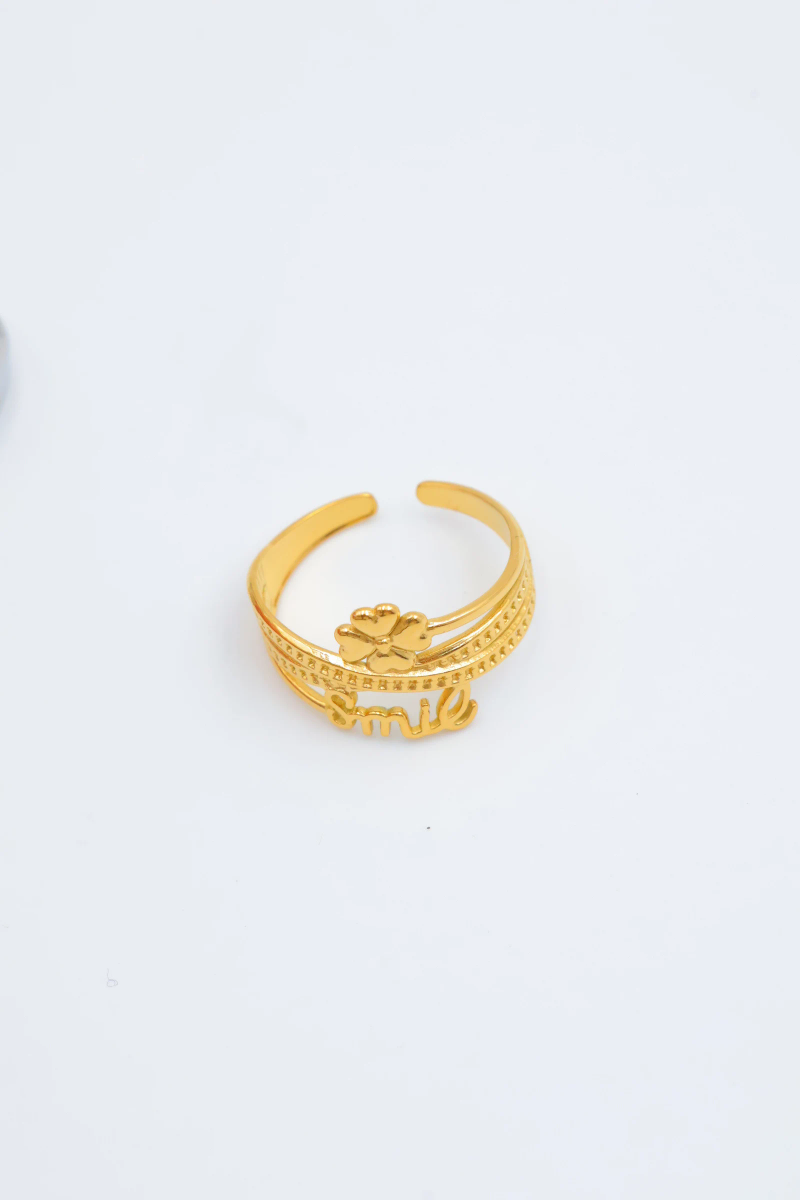 Bague en acier inoxydable ajustable 4
